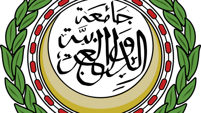 الإعاقة في السياسات العامة