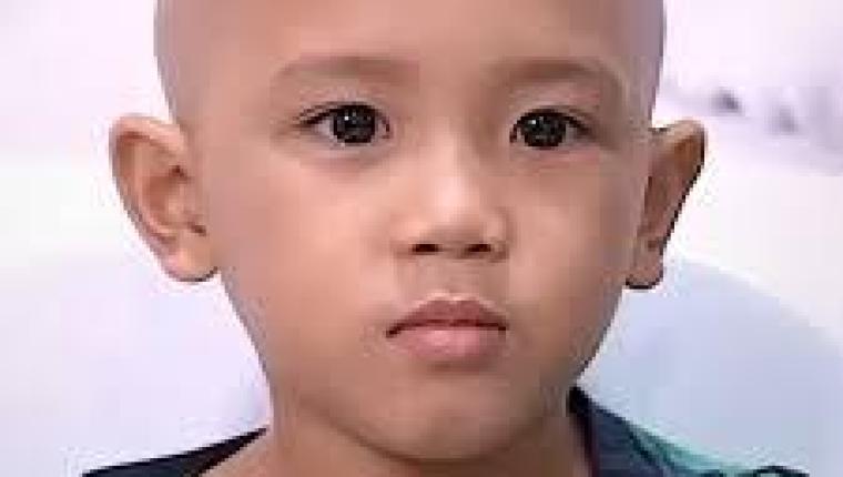 تحقيق استقصائي صادم  ل بي بي سي يكشف استغلال أطفال مصابين بالسرطان للاحتيال في جمع ملايين الدولارات