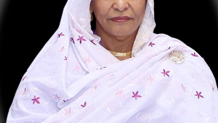 محافظ المركزي تشارك في قمة مجلس محافظي الخدمات المالية  الاسلامية